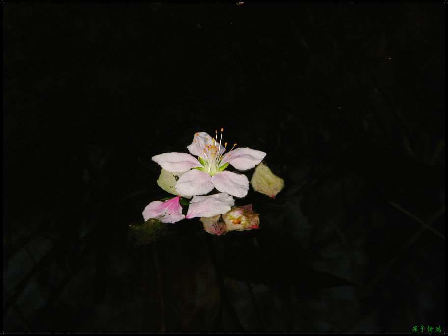 Ƭ 050.jpg