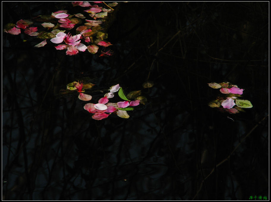 Ƭ 068.jpg