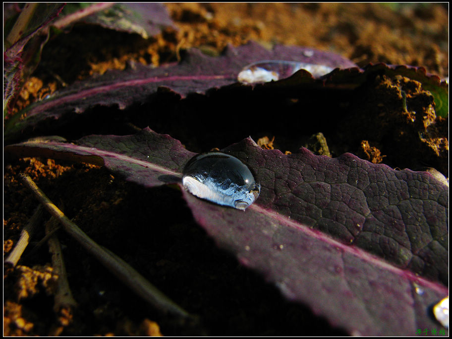 Ƭ 099.jpg