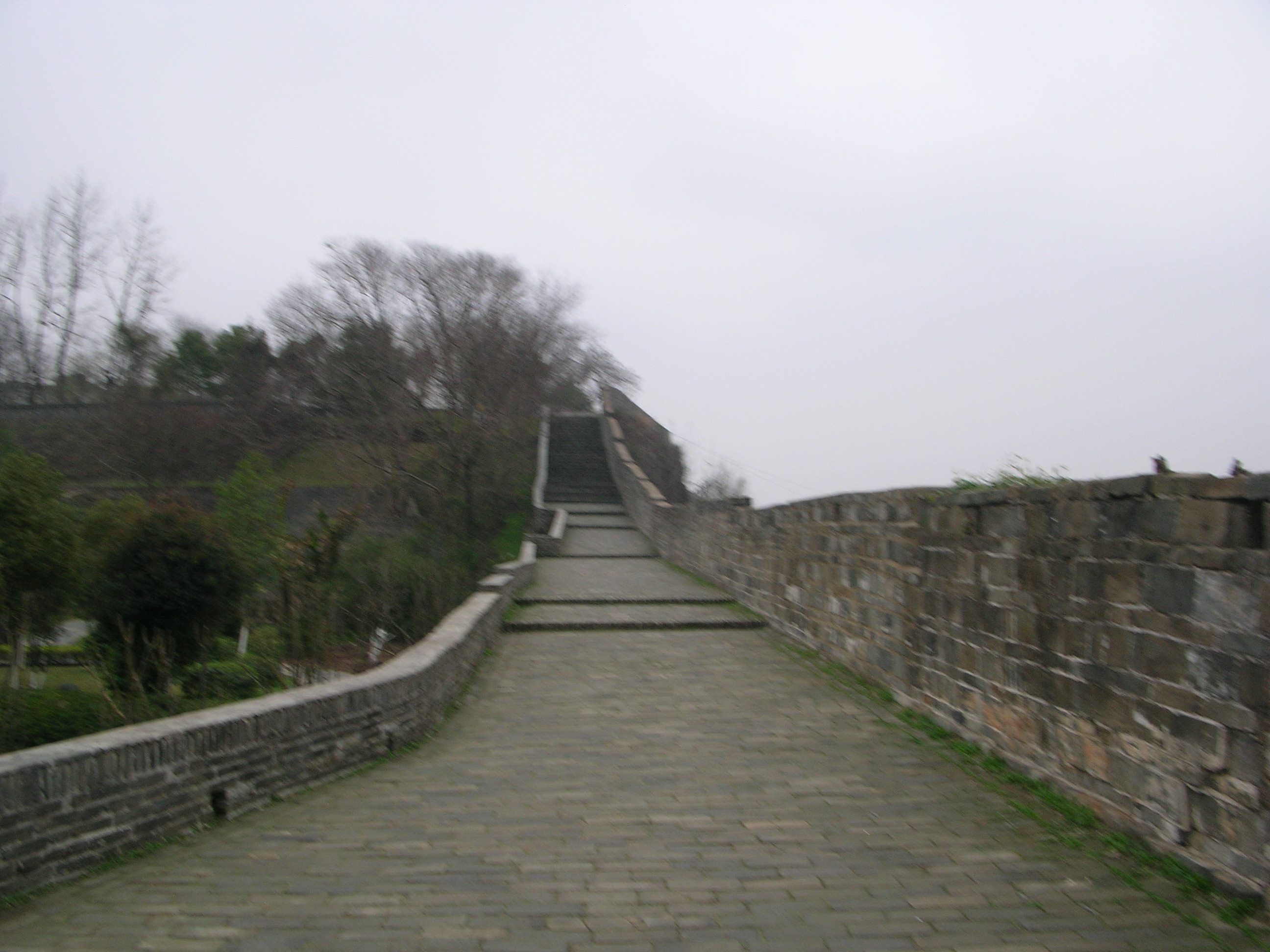 DSCN3603.JPG