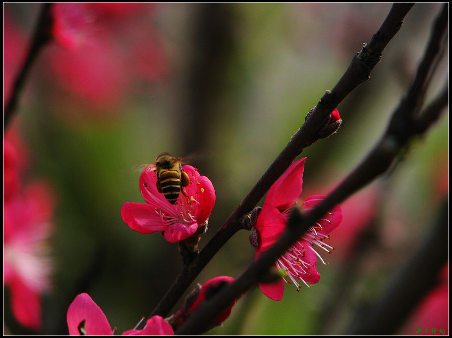 Ƭ 010.jpg
