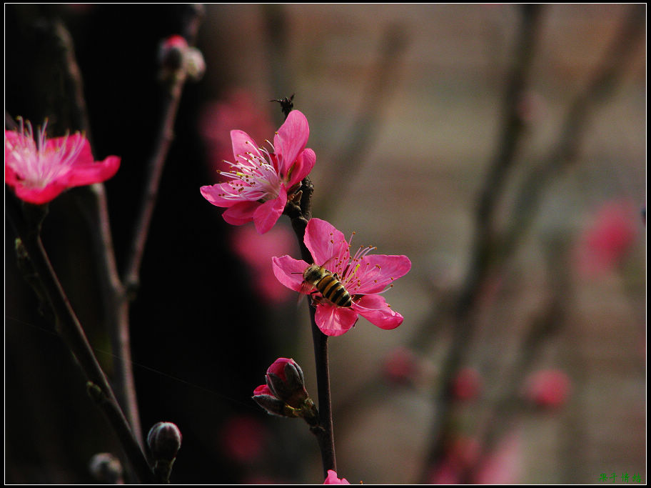 Ƭ 018.jpg