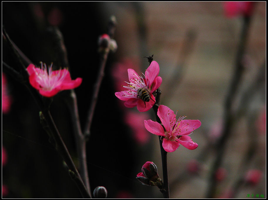 Ƭ 020.jpg