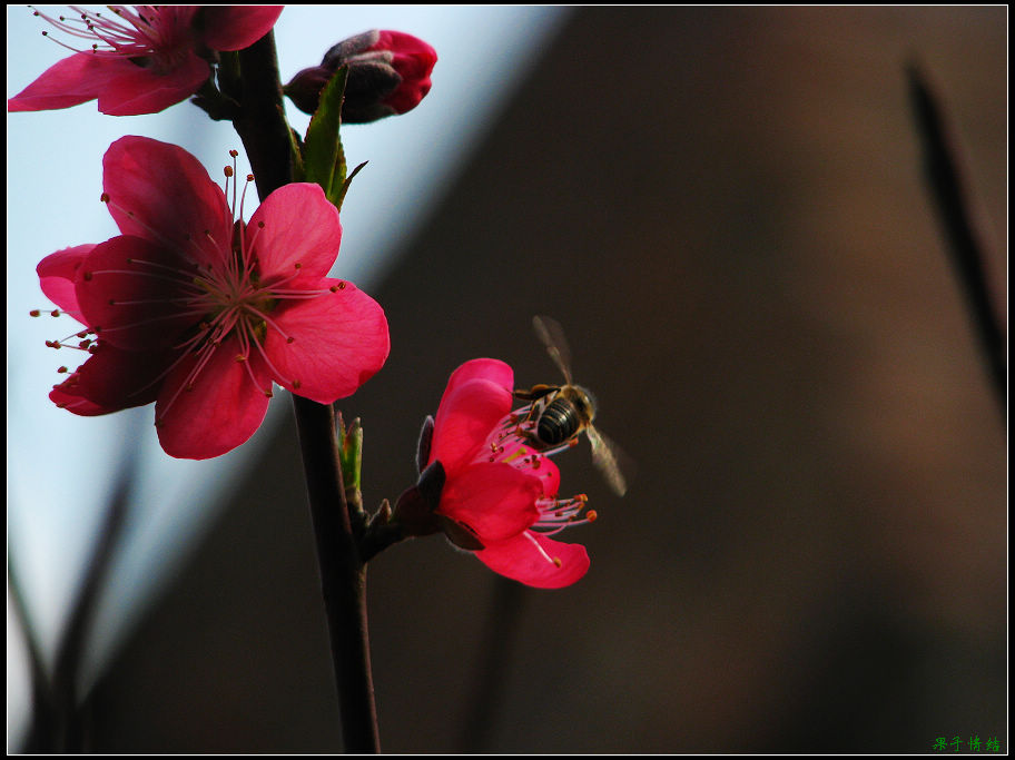 Ƭ 034.jpg