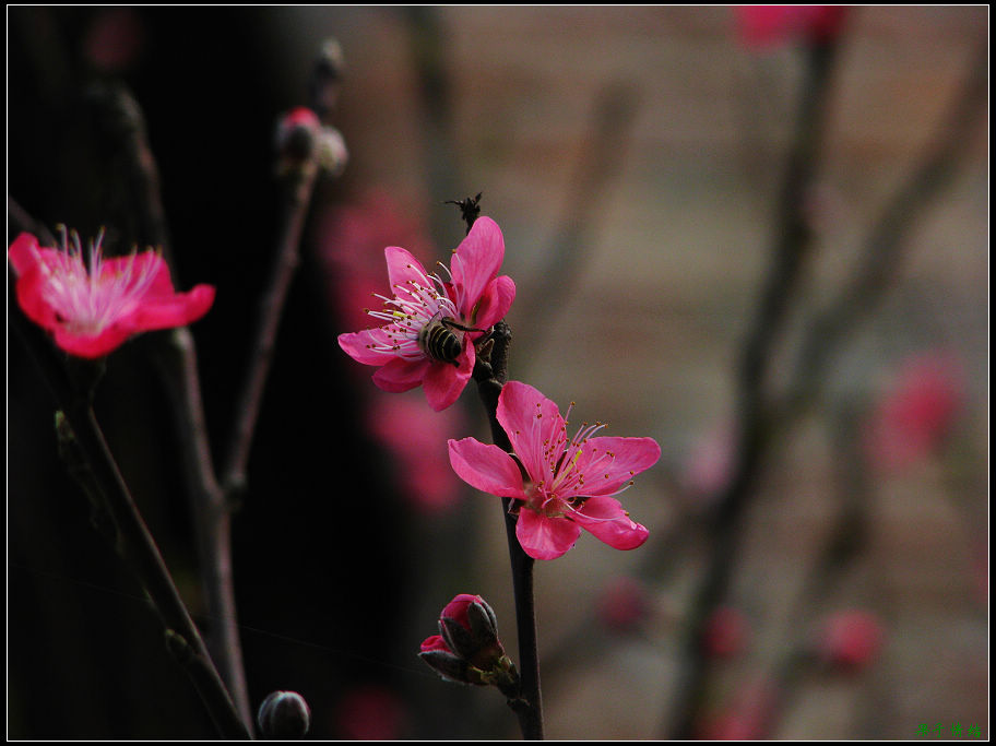 Ƭ 019.jpg