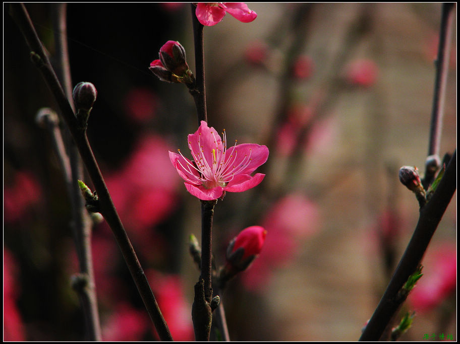 Ƭ 016.jpg