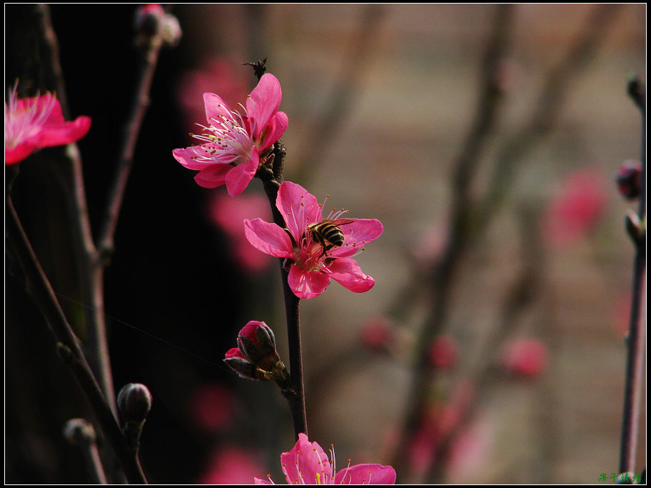Ƭ 017.jpg