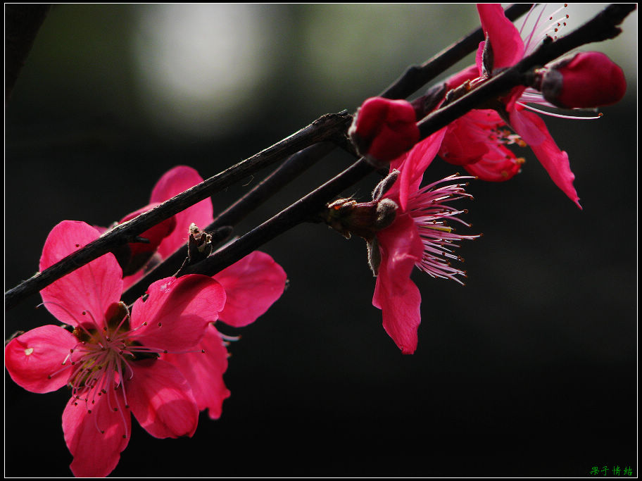 Ƭ 028.jpg