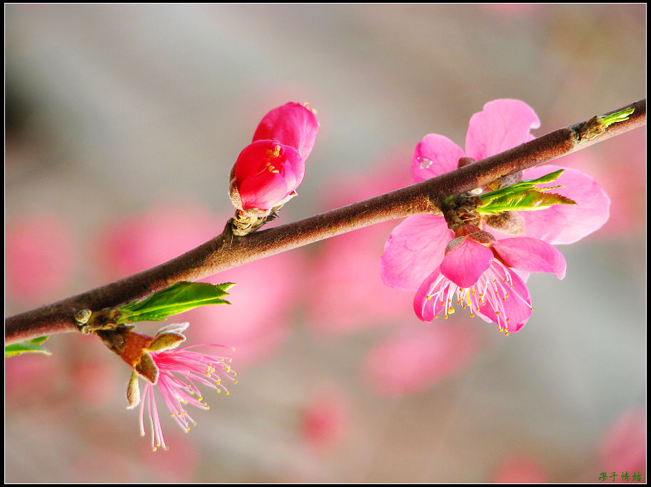 Ƭ 055.jpg
