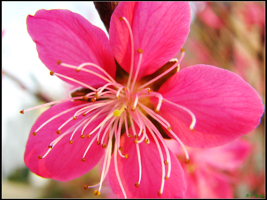 Ƭ 077.jpg