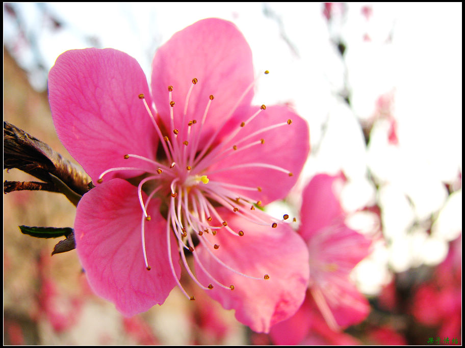 Ƭ 067.jpg