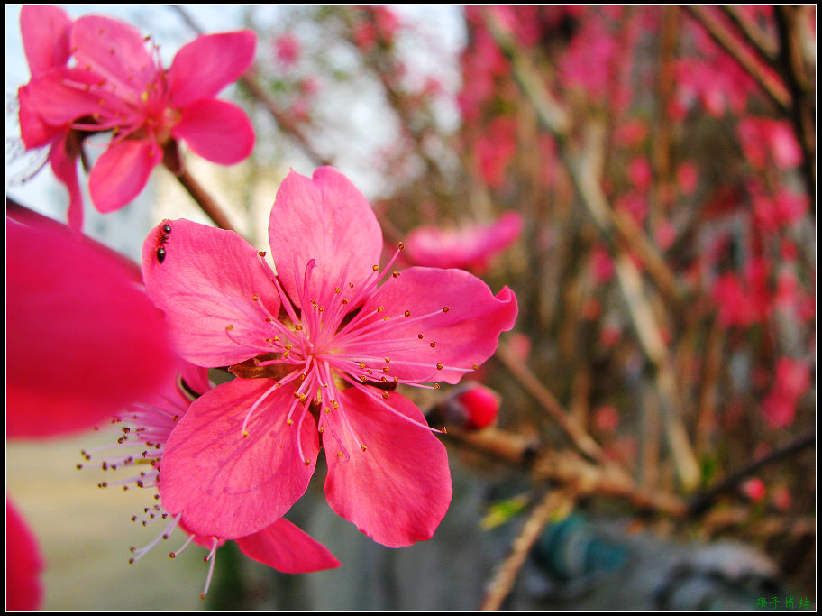 Ƭ 073.jpg