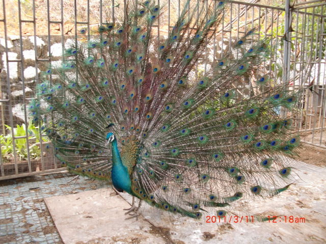 ȸ02.JPG