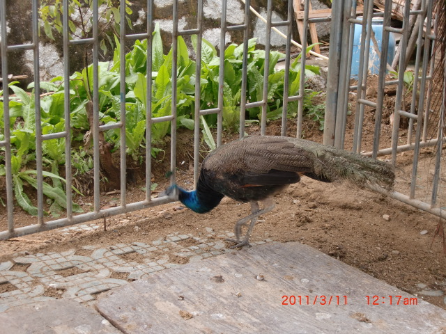 ȸ06.JPG