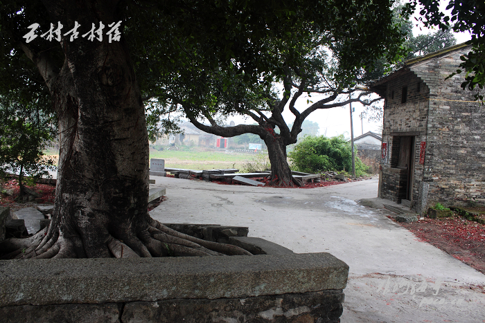 DPP_0022.jpg
