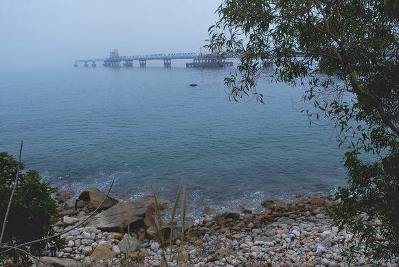 DSC_0109.jpg