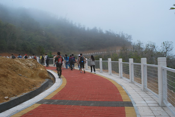 DSC_0137.jpg