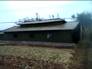 20110123_1359_0.jpg