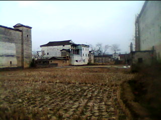 20110123_1401_2.jpg