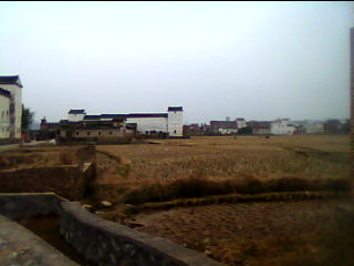 20110123_1400_0.jpg
