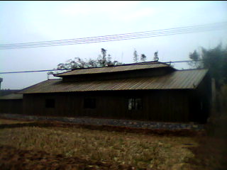 20110123_1357_0.jpg