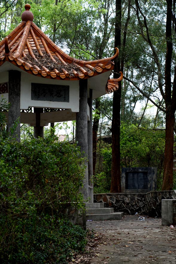 Ƭ 078.jpg