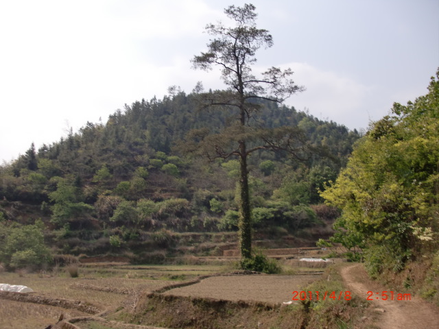 CIMG1080.JPG