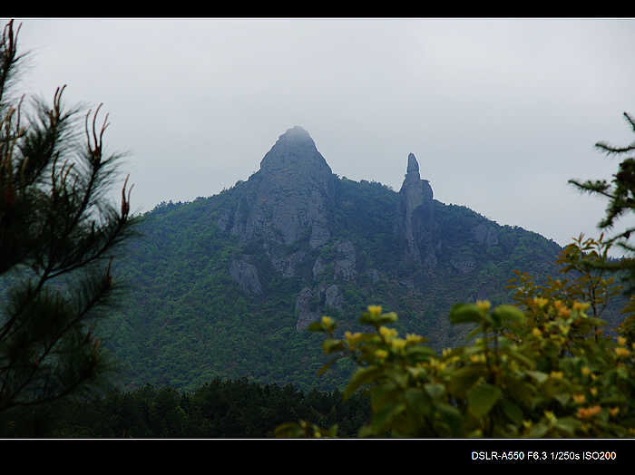 DSC07885.jpg