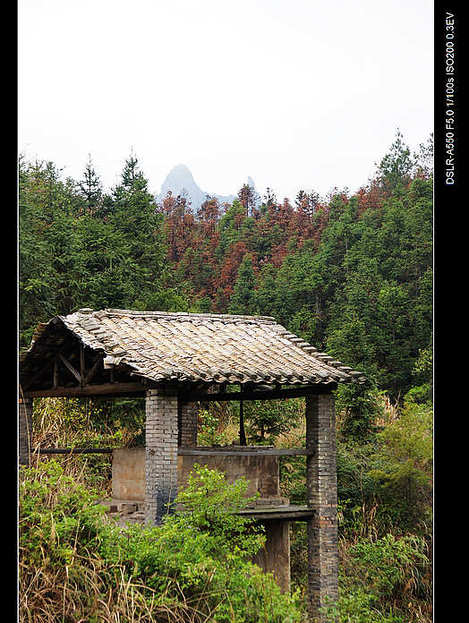 DSC07932.jpg