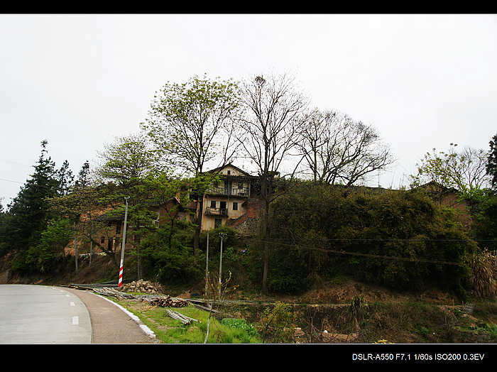 DSC07937.jpg