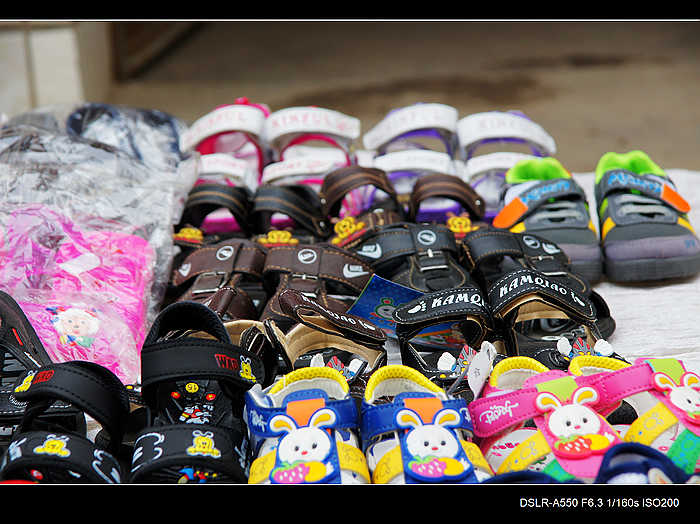 DSC07958.jpg