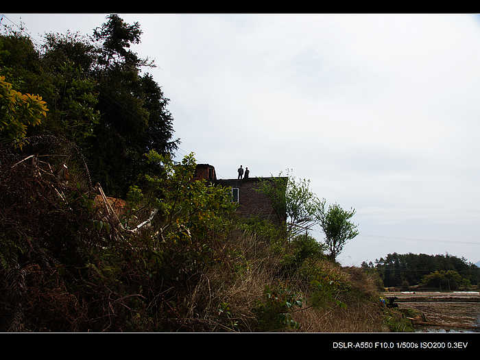 DSC08059.jpg