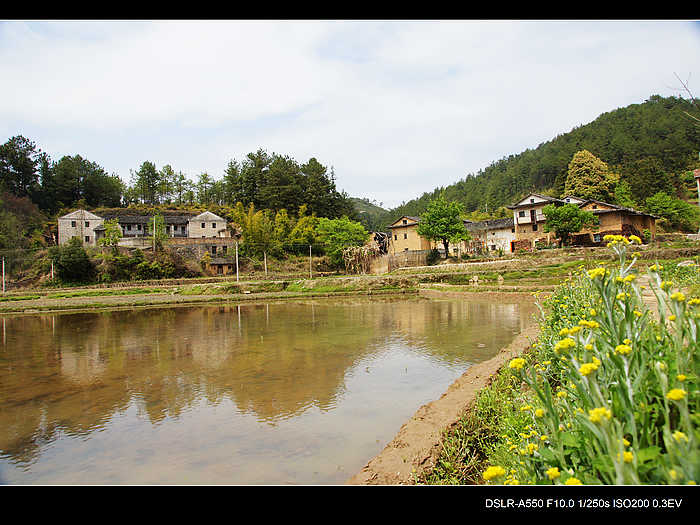 DSC08070.jpg