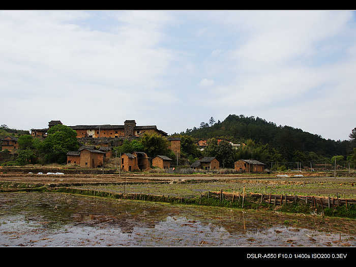 DSC08060.jpg