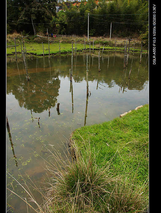DSC08088.jpg