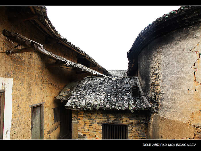 DSC08146.jpg