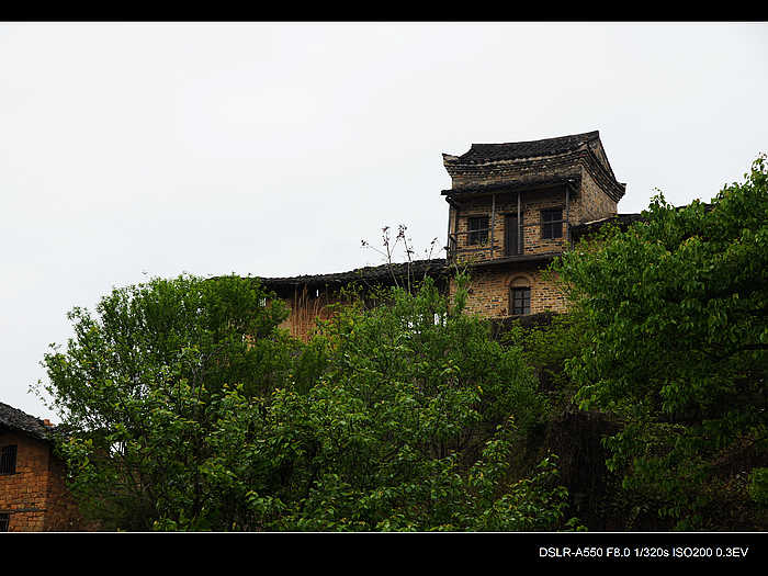 DSC08205.jpg