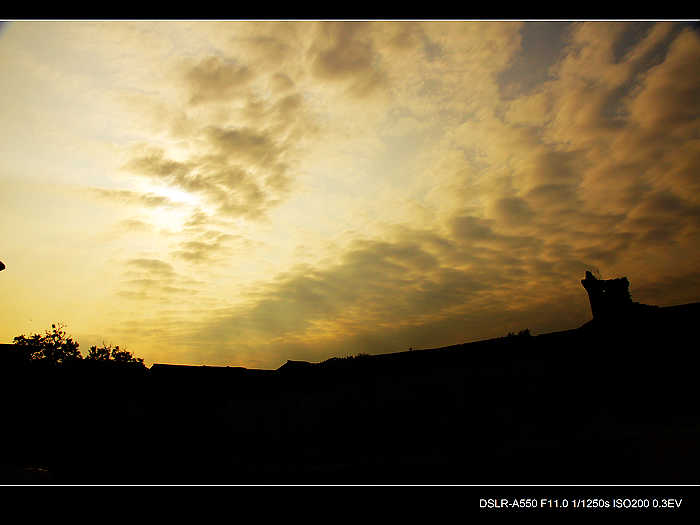 DSC08409.jpg