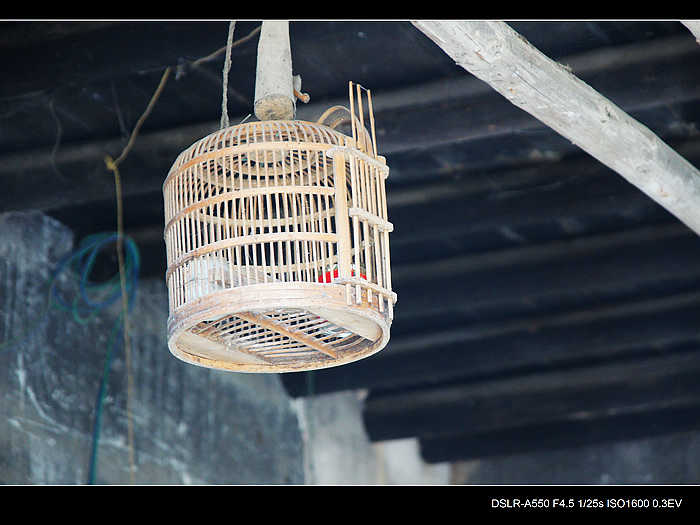 DSC08398.jpg