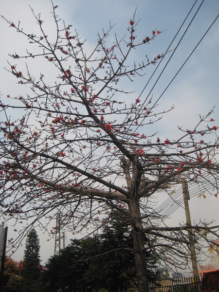 IMG_6621_С.JPG