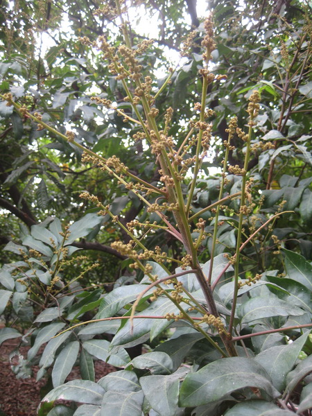 IMG_6647_С.JPG