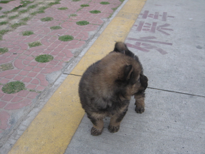 IMG_6722_С.JPG
