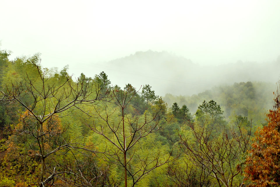 DSC_2058.jpg