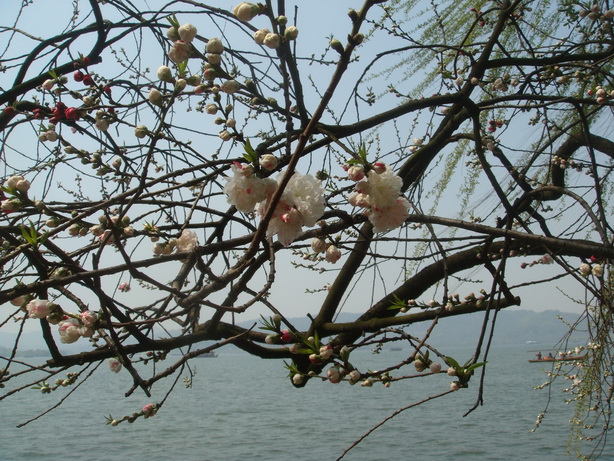 DSC03646.JPG