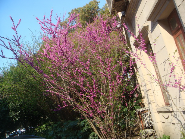 DSC03715.JPG