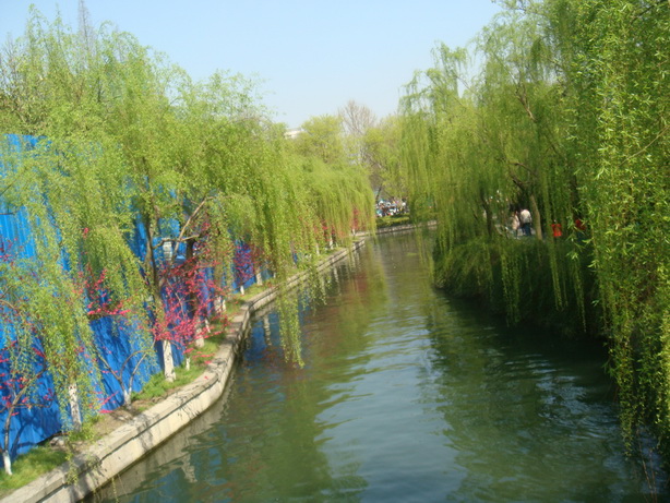 DSC03681.JPG