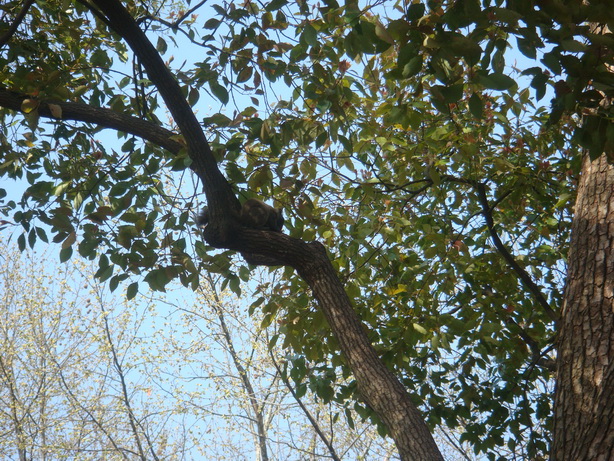 DSC03700.JPG