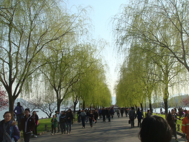 DSC03763.JPG