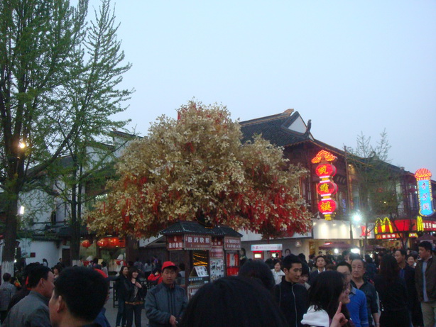 DSC05332.JPG