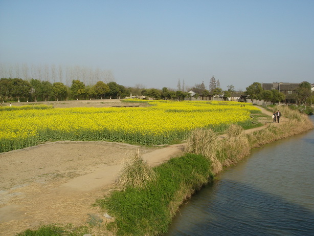 DSC04082.JPG